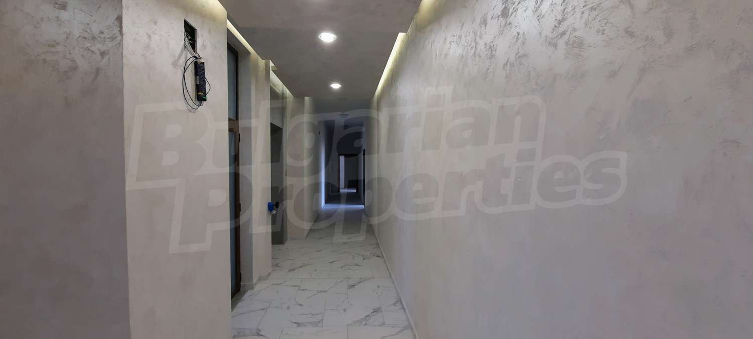 Gallery Picture 15