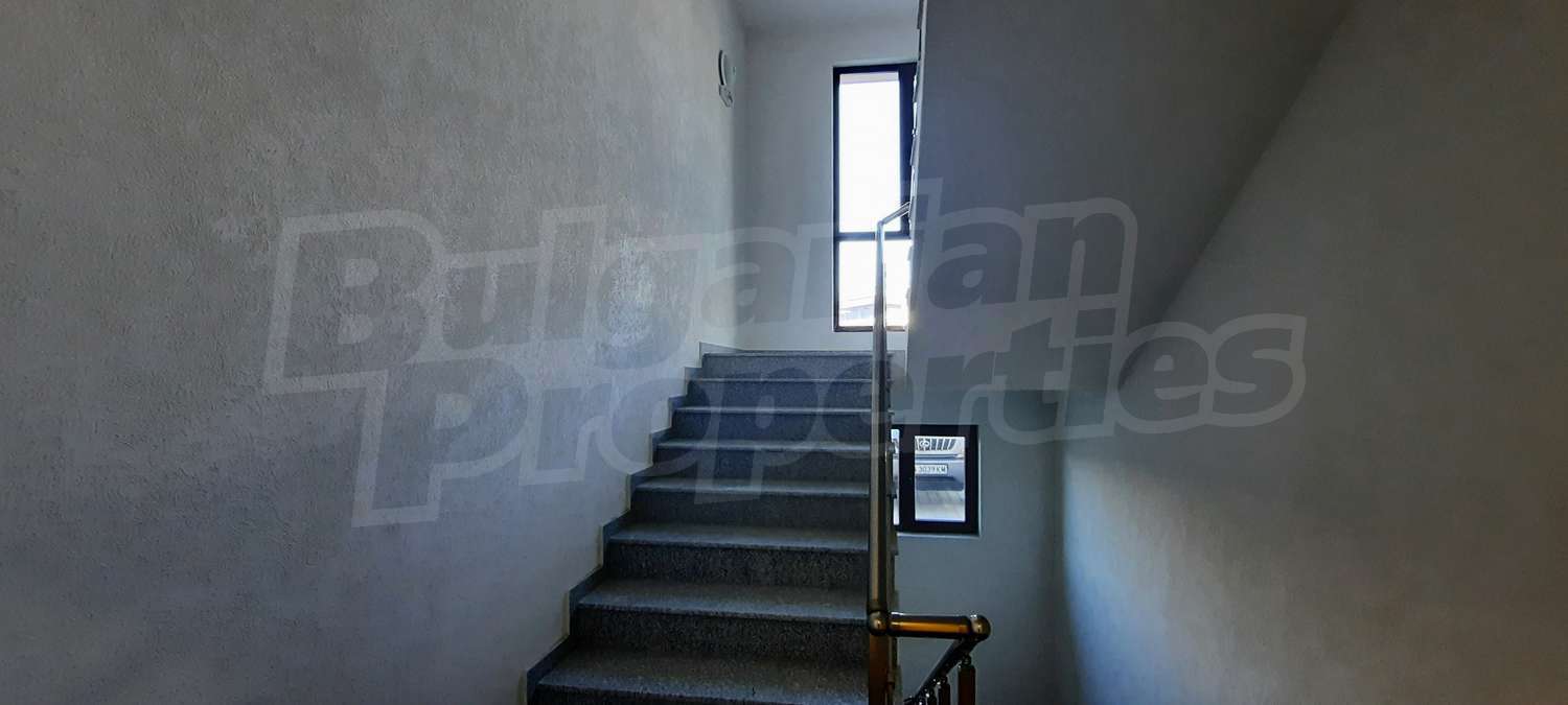 Gallery Picture 16