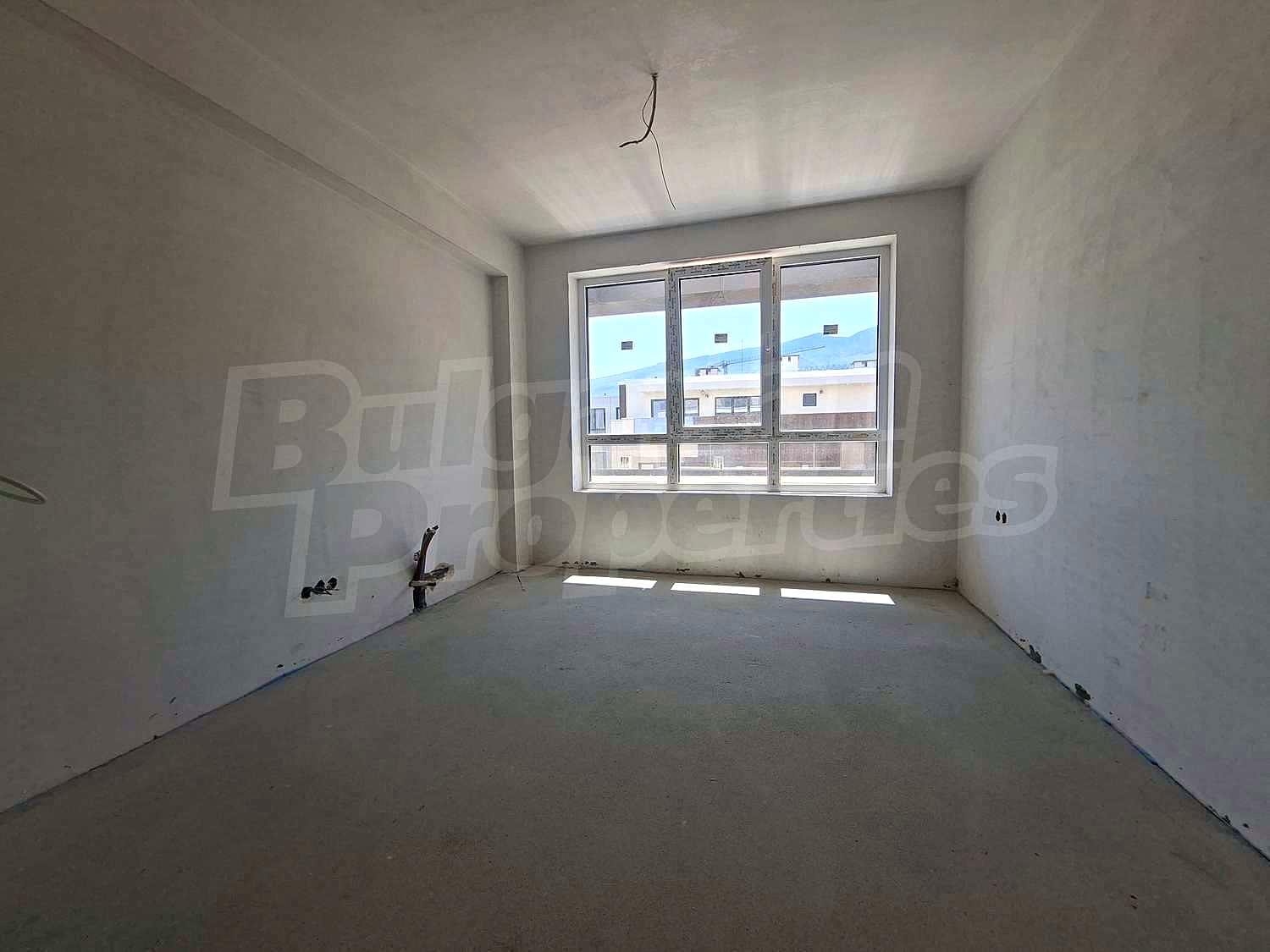 Gallery Picture 12