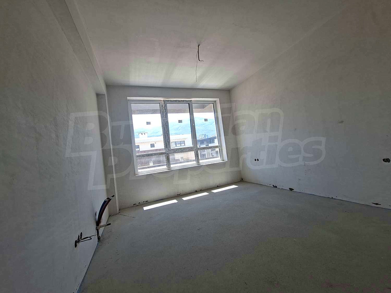 Gallery Picture 18