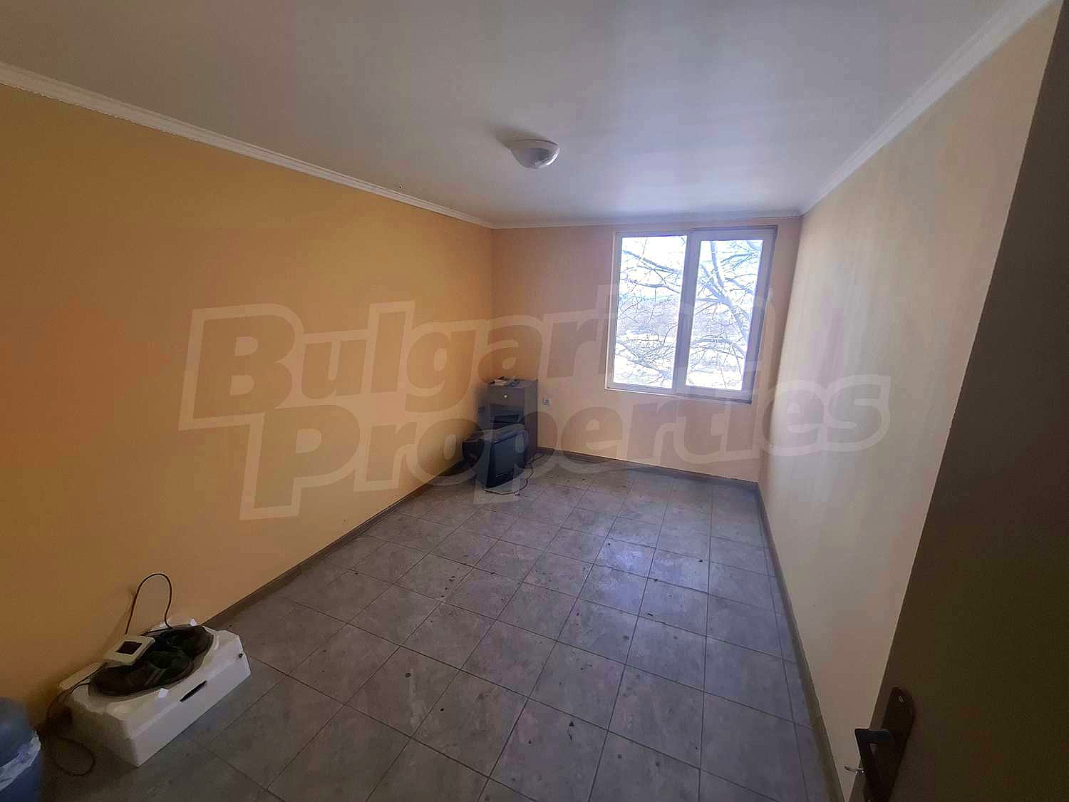 Gallery Picture 17
