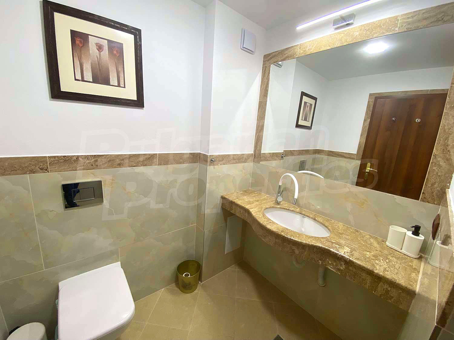 Gallery Picture 25