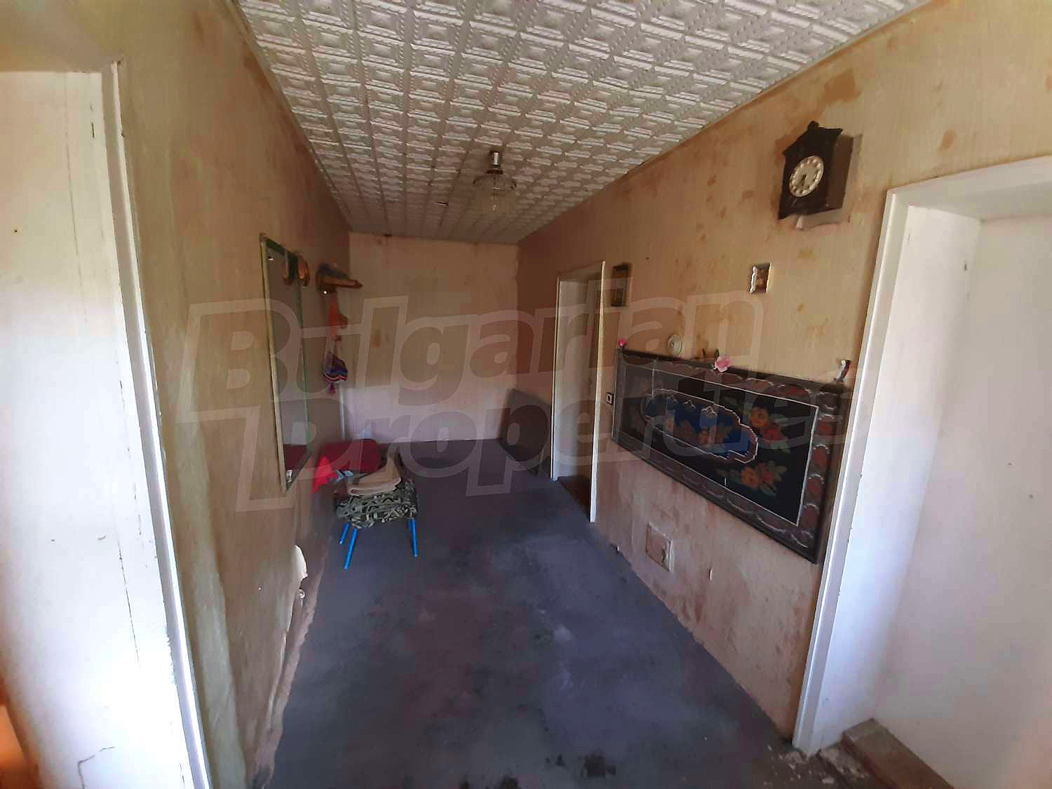 Gallery Picture 11