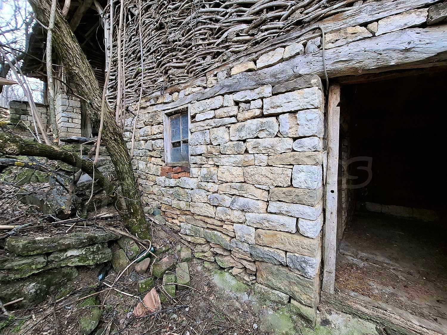 Gallery Picture 33