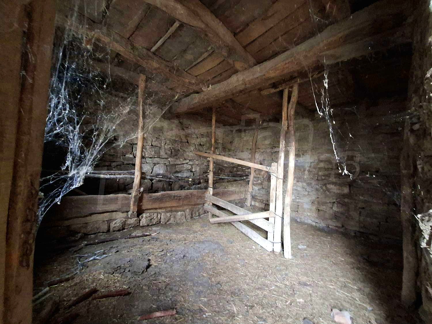 Gallery Picture 36