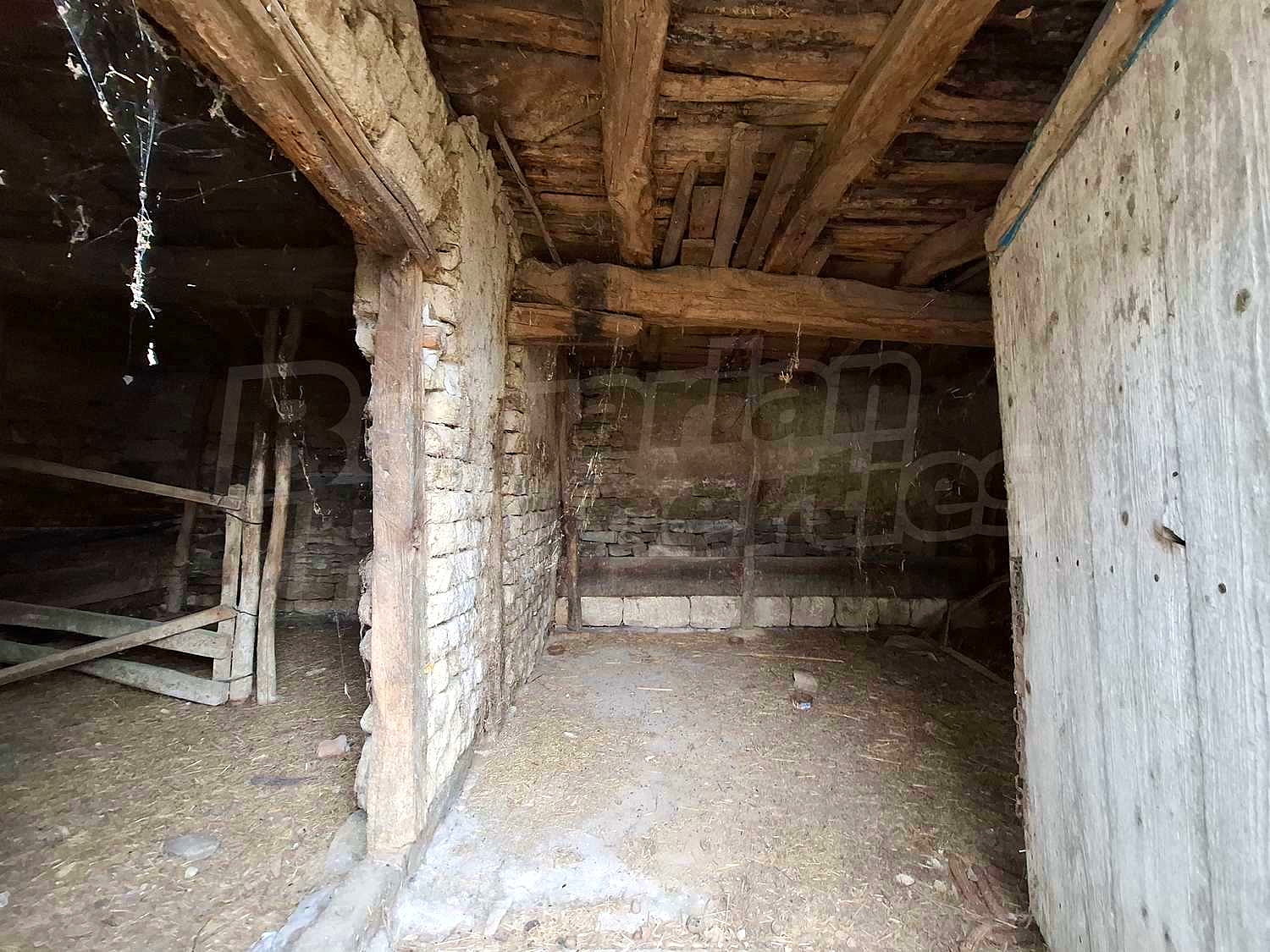Gallery Picture 34