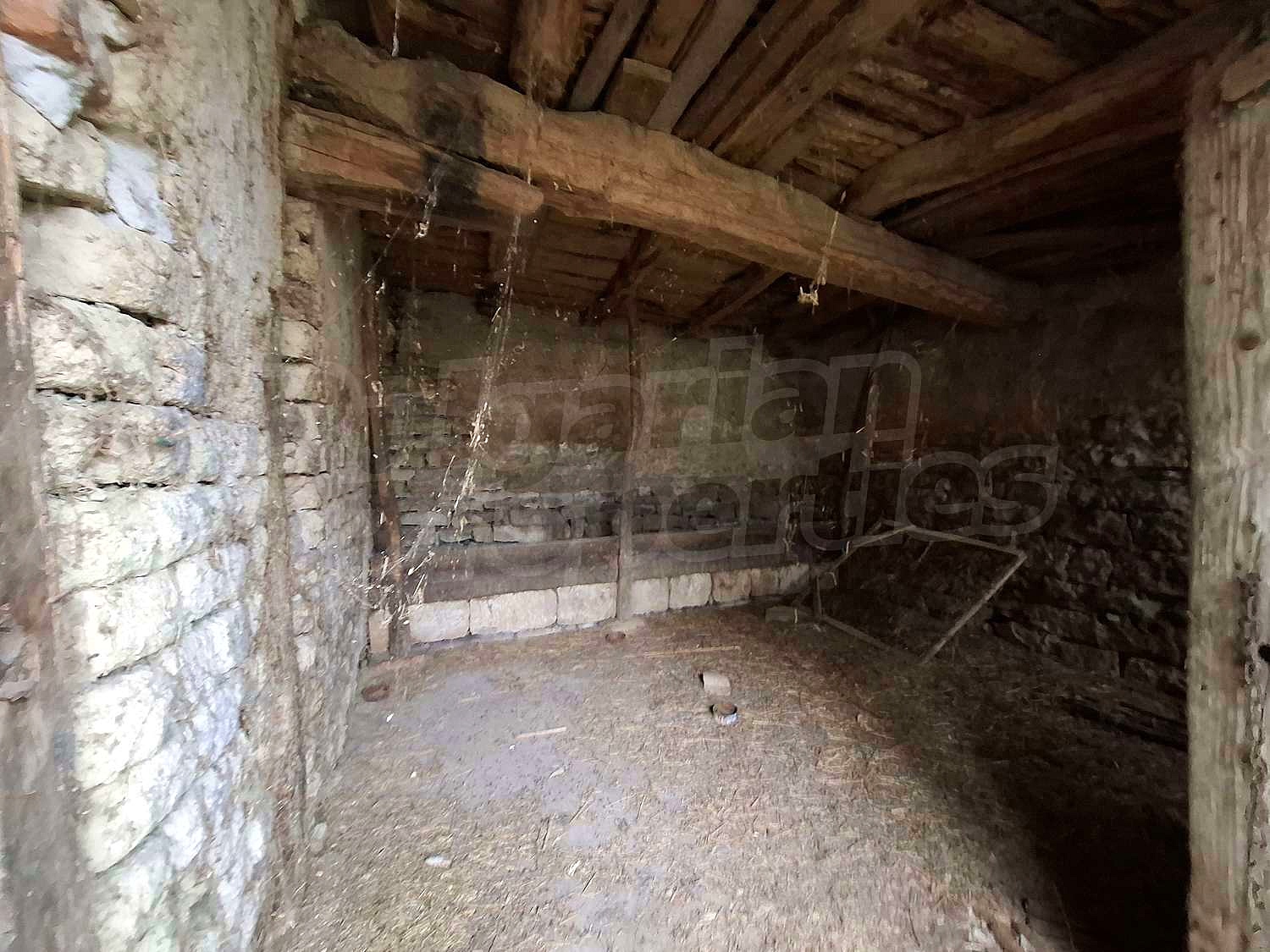 Gallery Picture 35