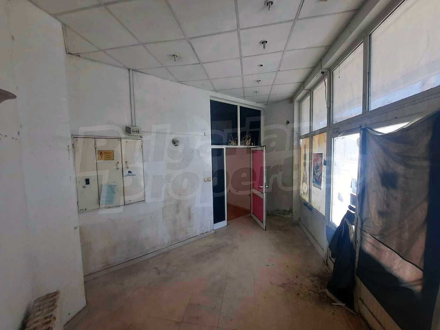 Gallery Picture 8