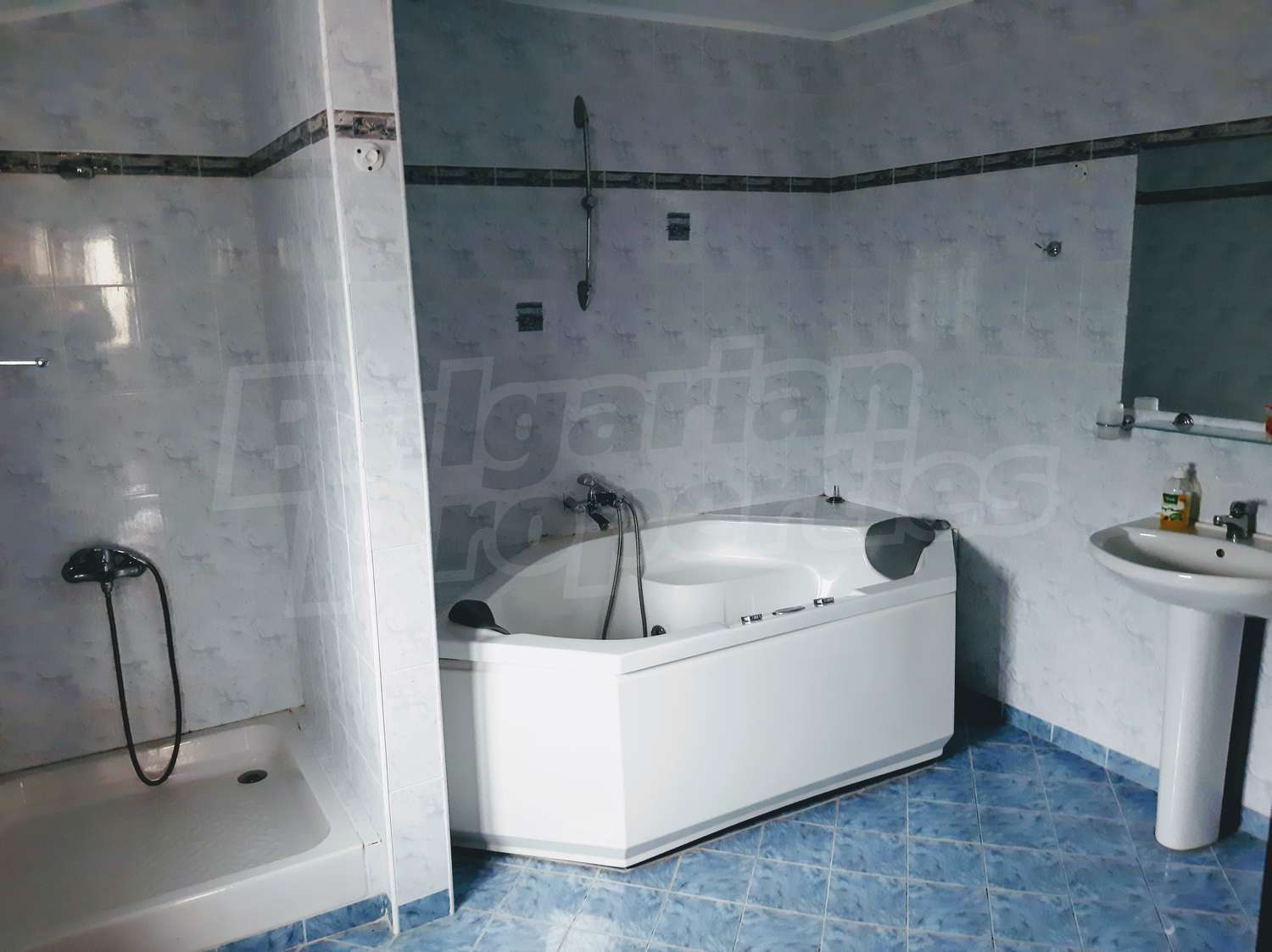 Gallery Picture 27