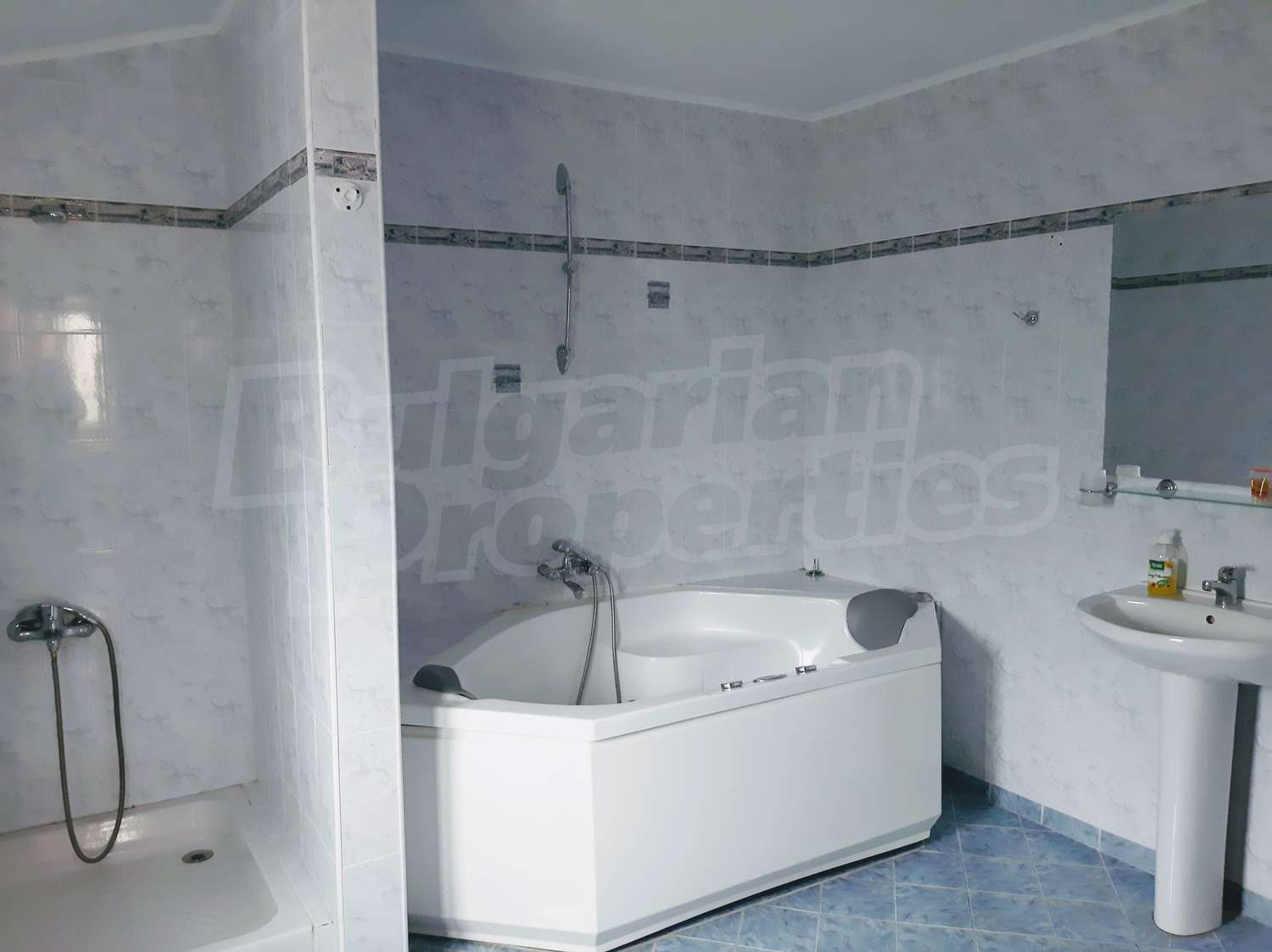 Gallery Picture 35