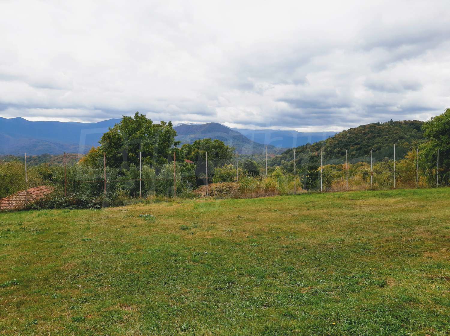 Gallery Picture 41