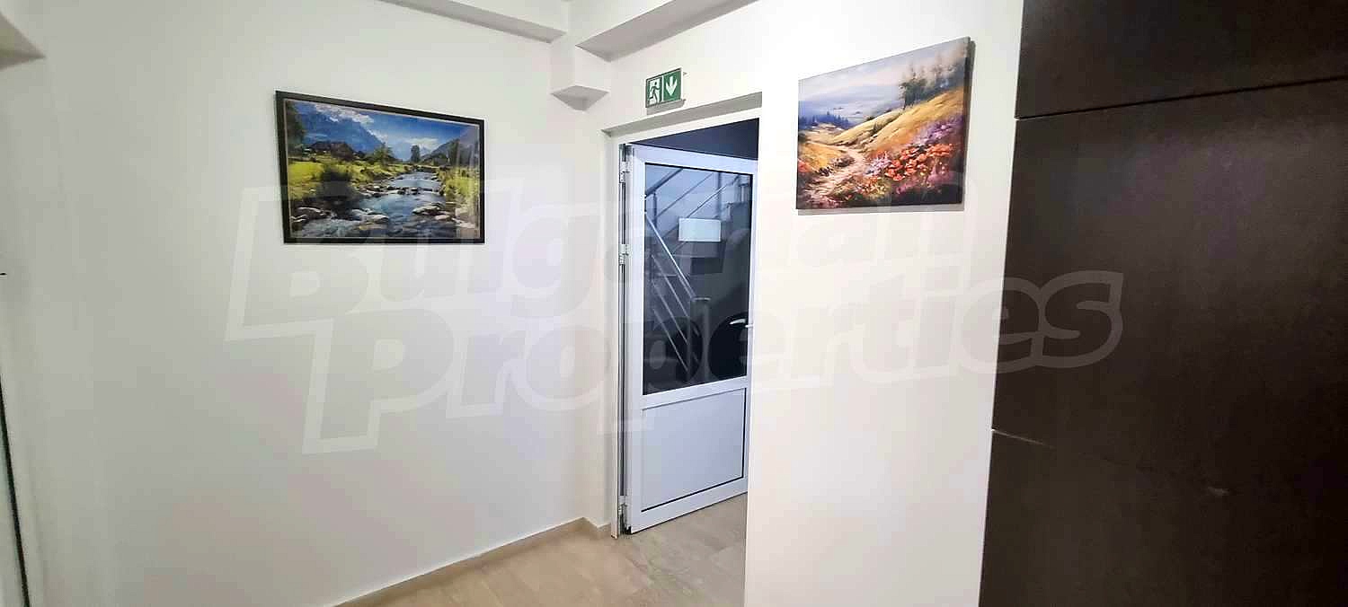 Gallery Picture 17