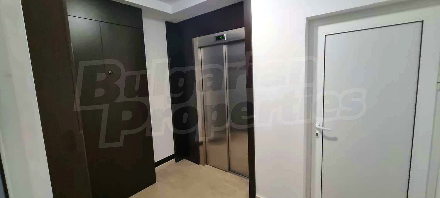 Gallery Picture 16