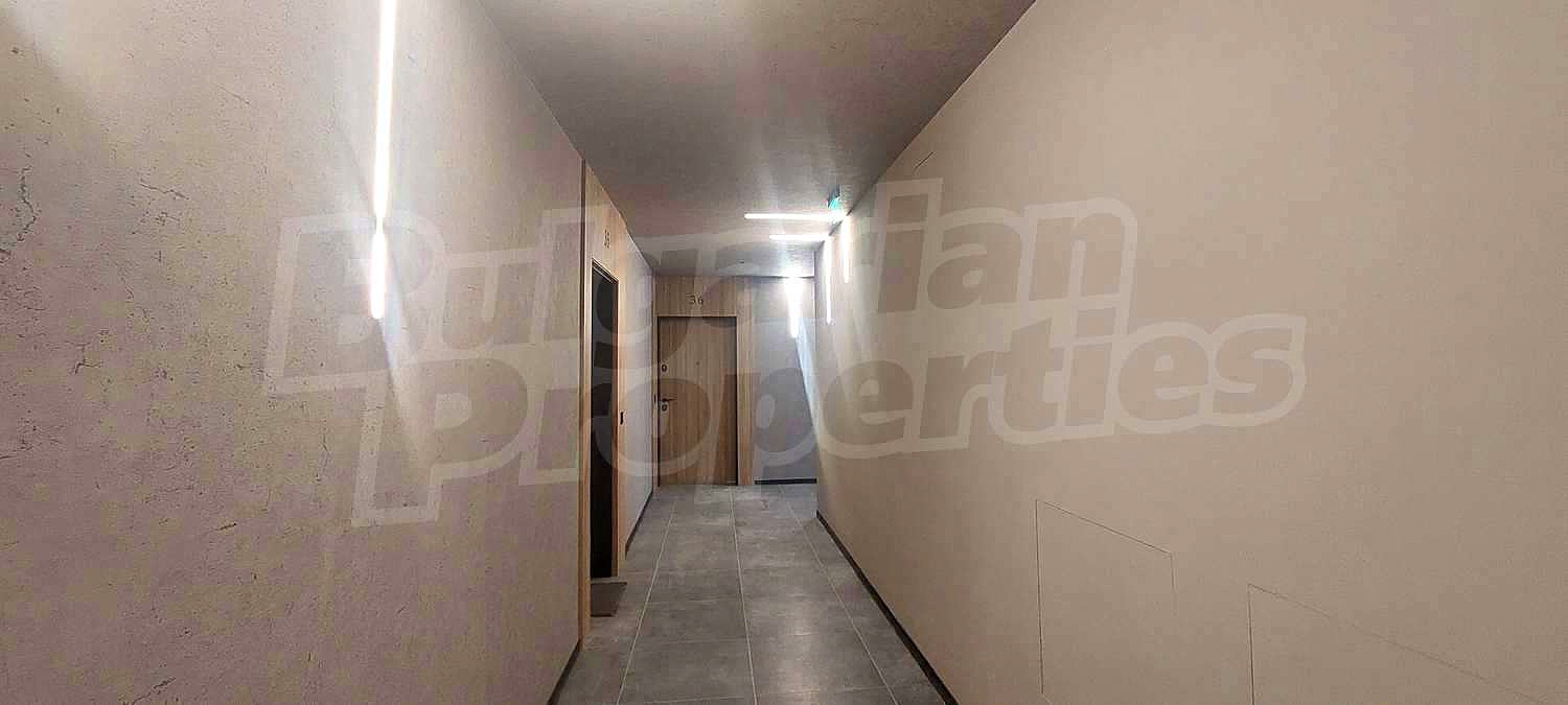 Gallery Picture 19