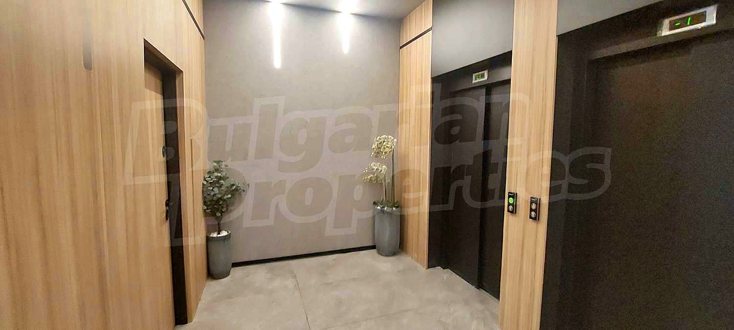 Gallery Picture 15