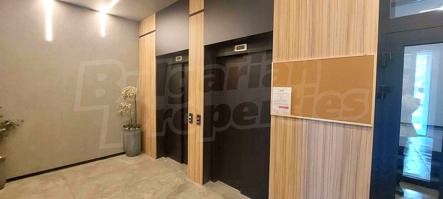 Gallery Picture 28