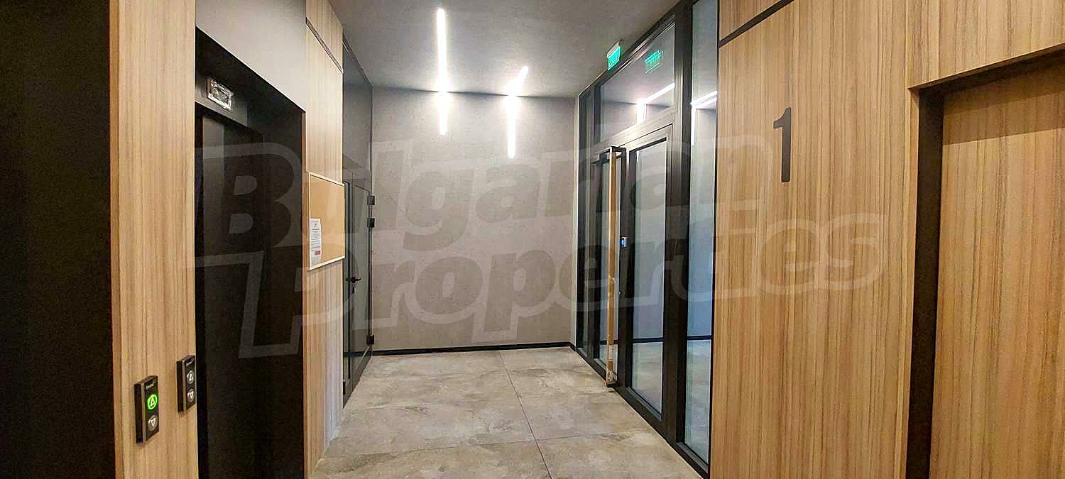 Gallery Picture 31