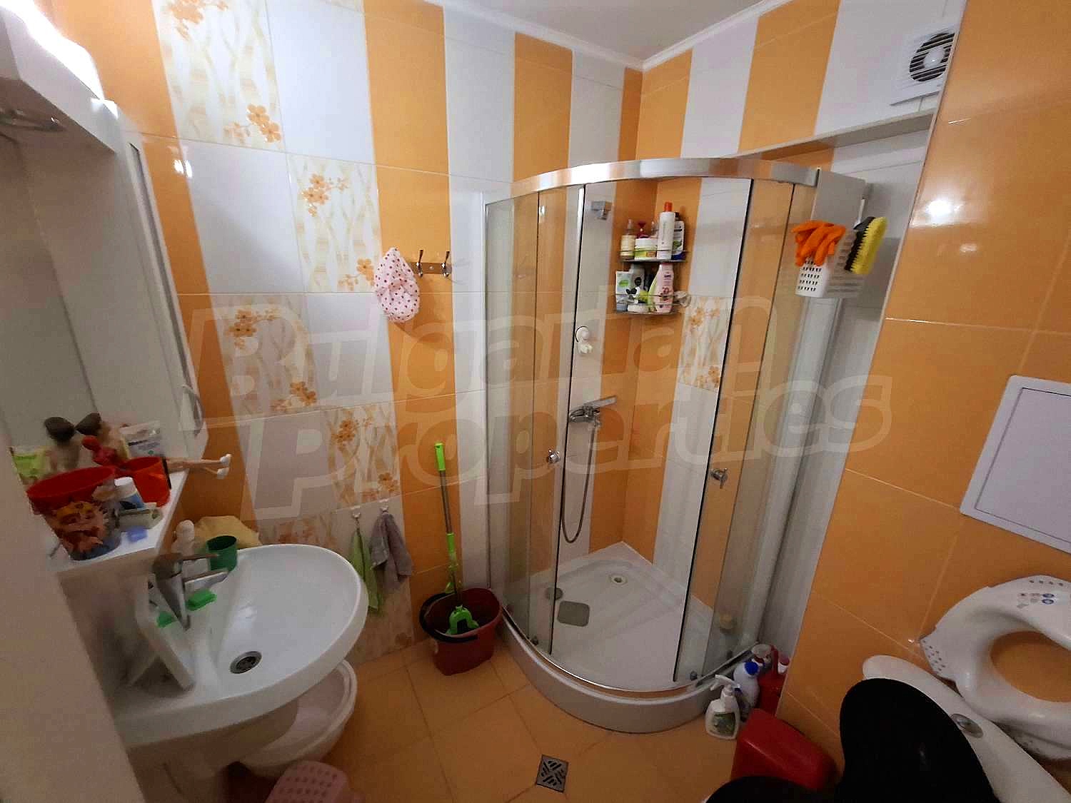 Gallery Picture 19