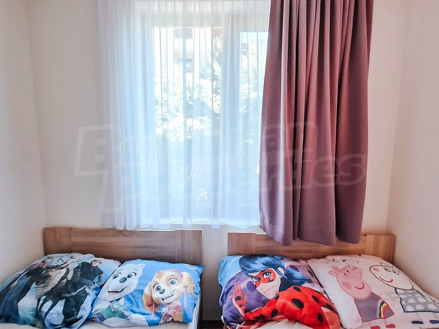Gallery Picture 26