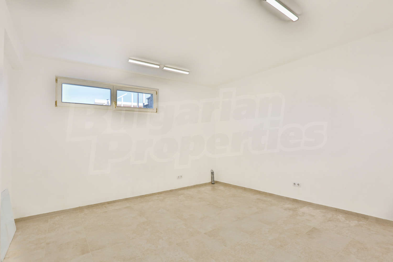 Gallery Picture 34