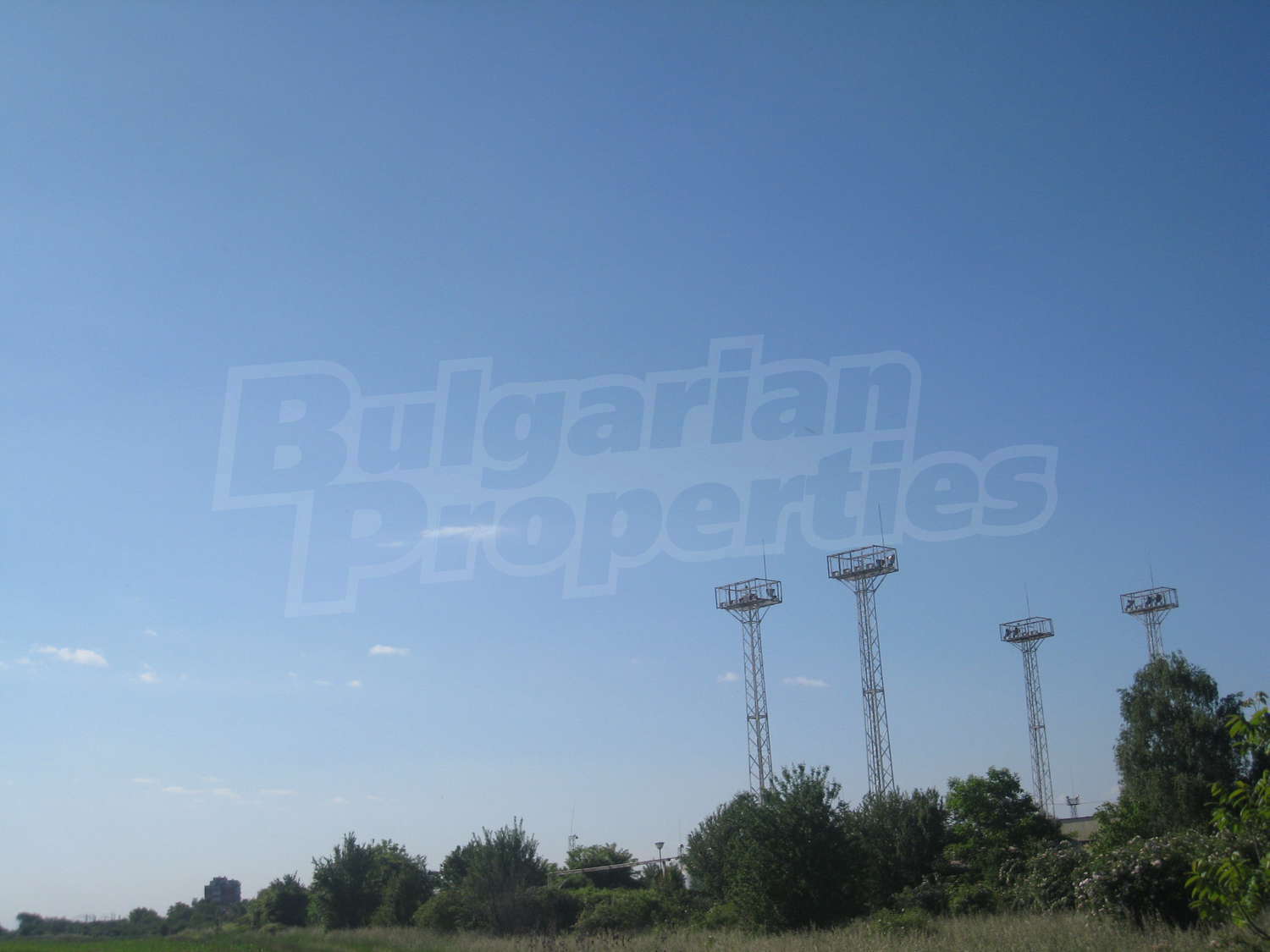 Gallery Picture 15