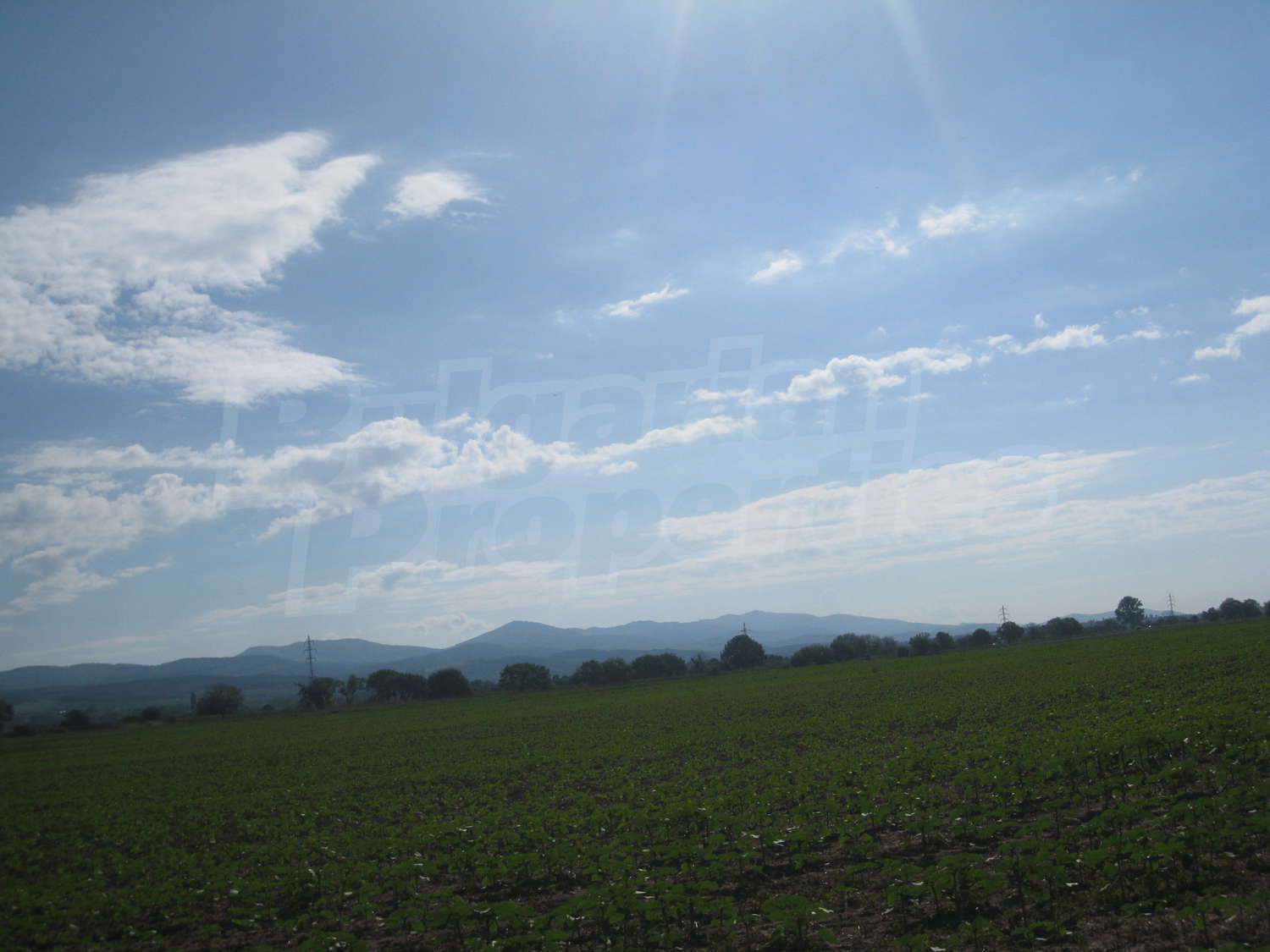 Gallery Picture 16