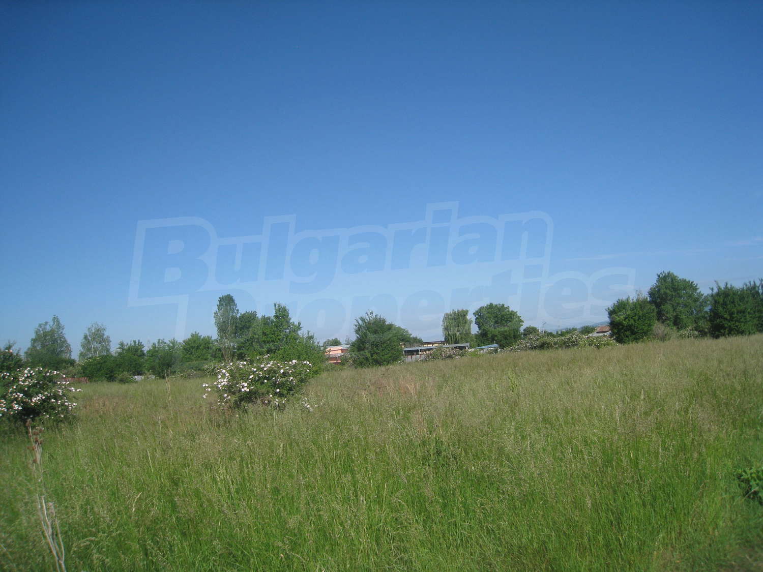 Gallery Picture 17