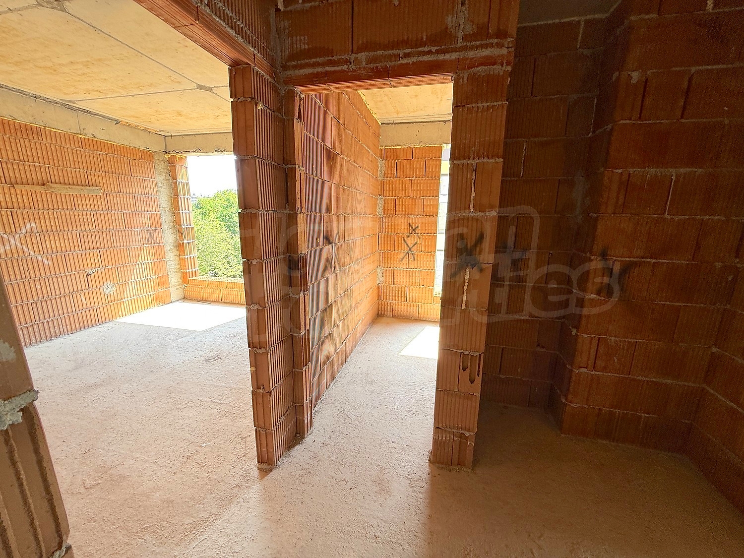 Gallery Picture 12