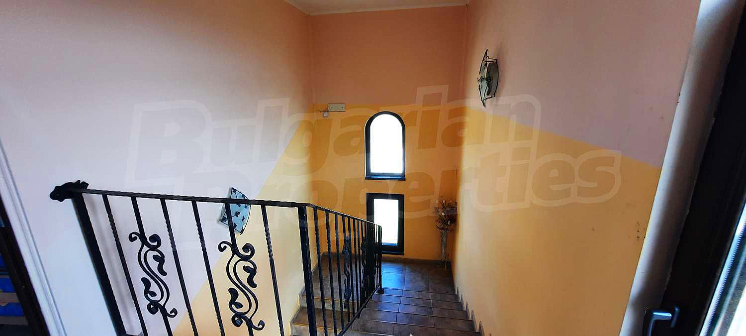 Gallery Picture 46