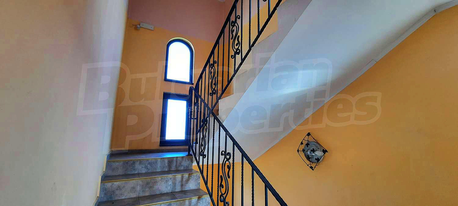 Gallery Picture 13