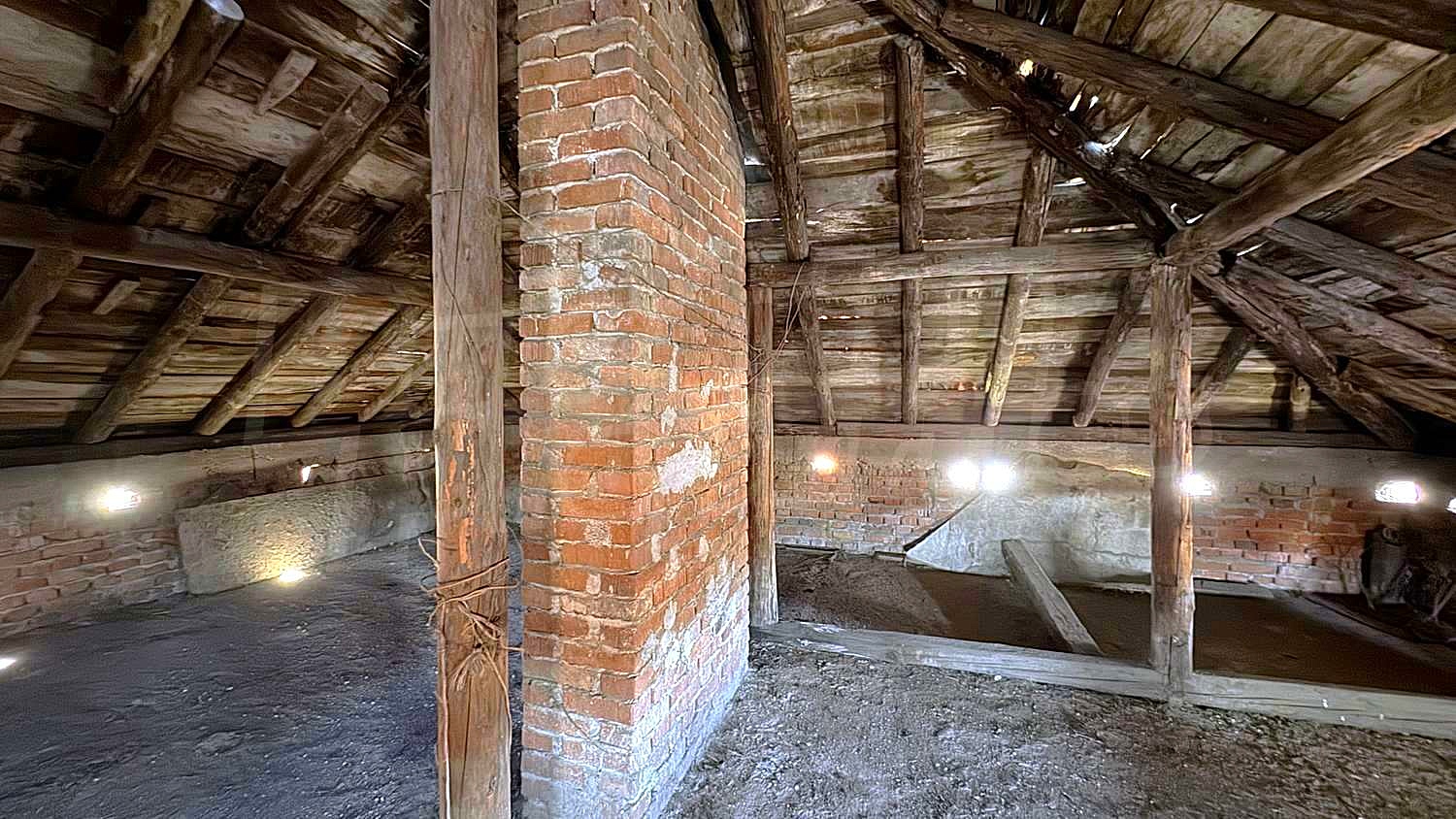 Gallery Picture 43