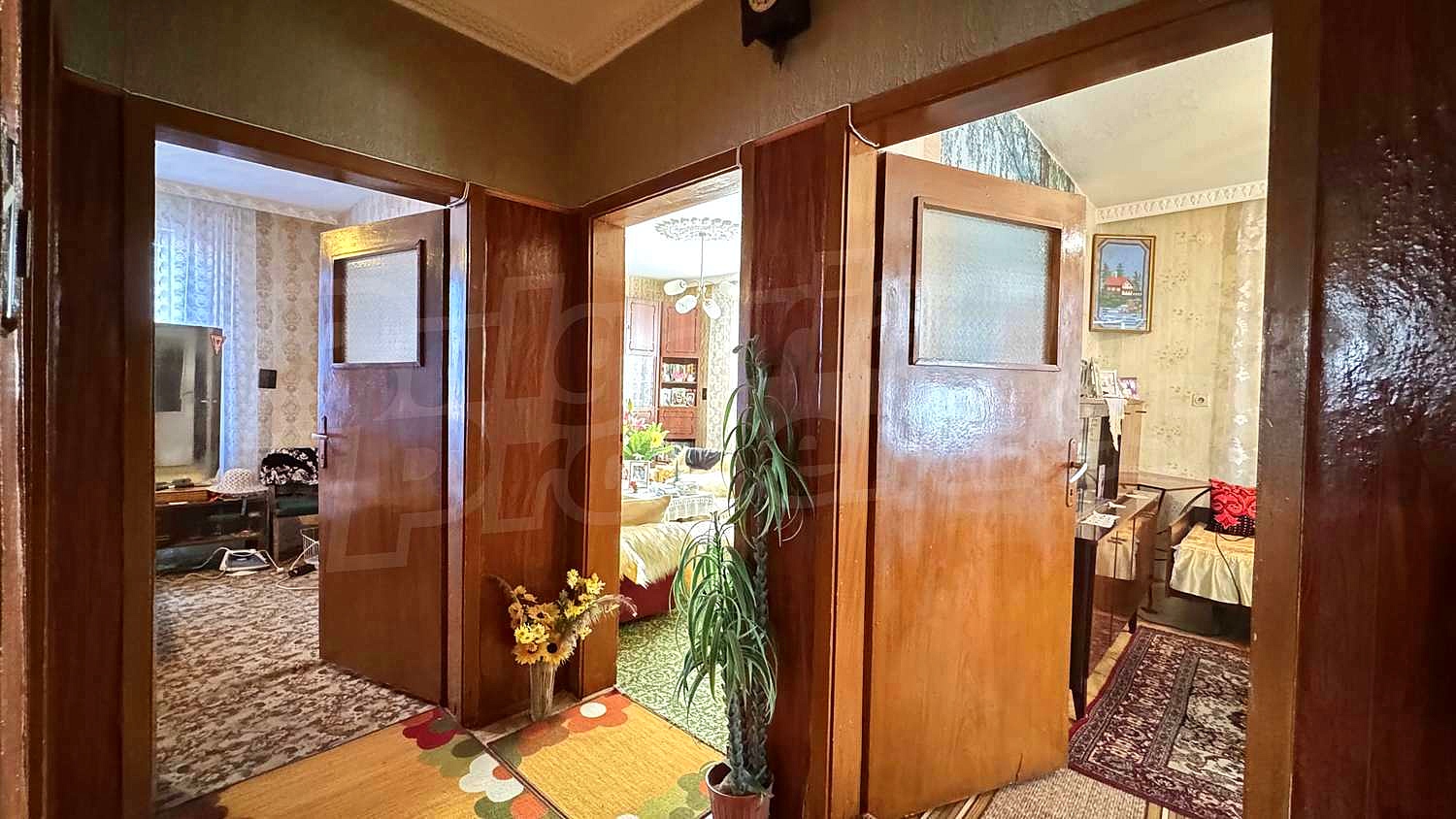 Gallery Picture 17