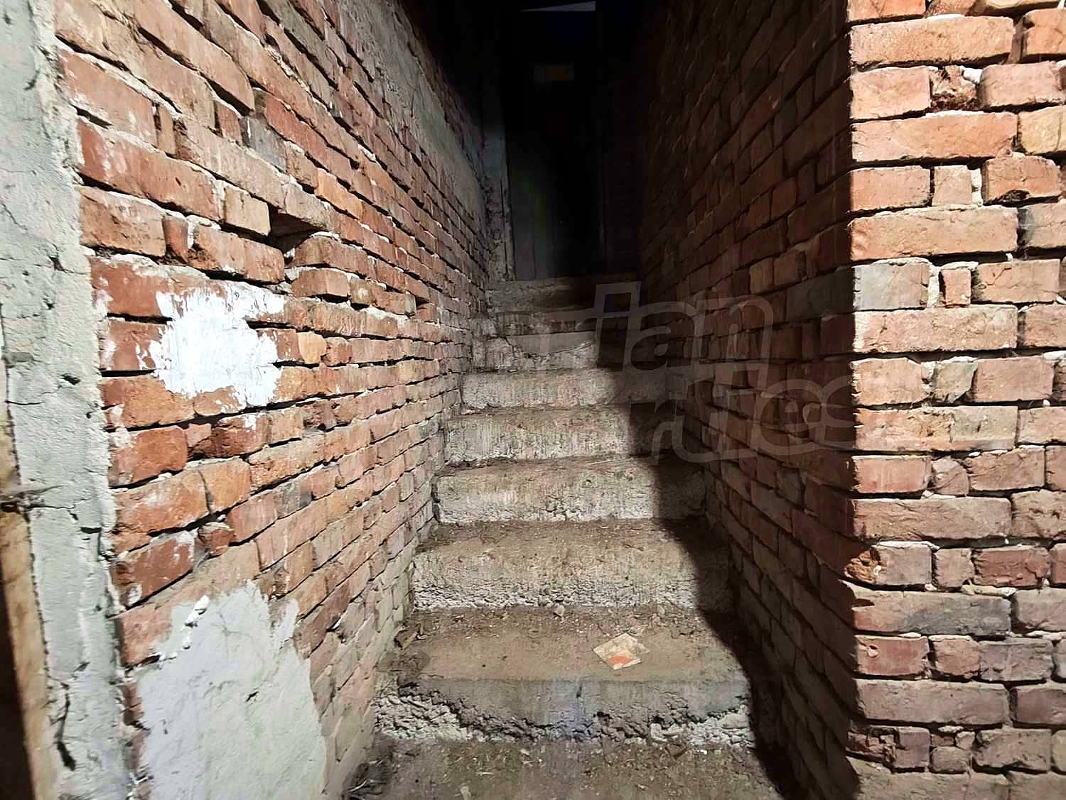 Gallery Picture 15
