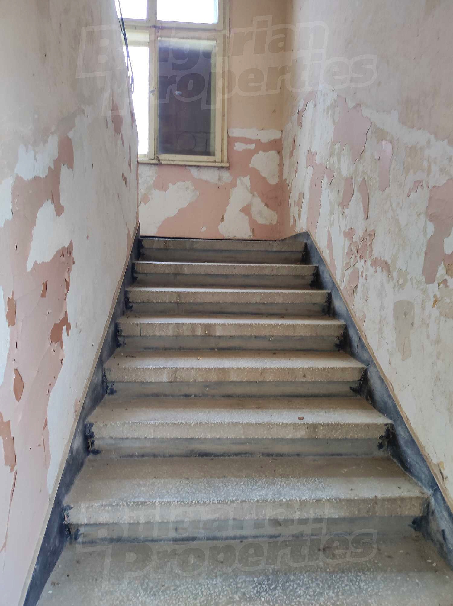Gallery Picture 18