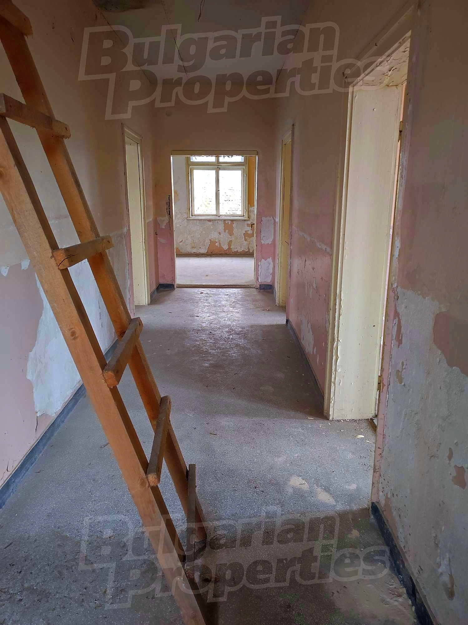 Gallery Picture 16