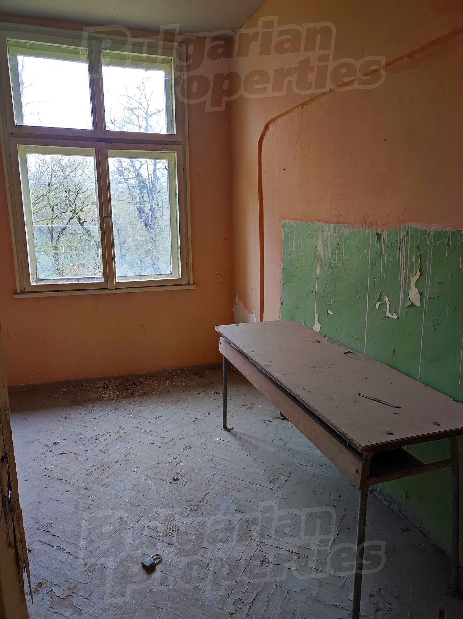 Gallery Picture 19