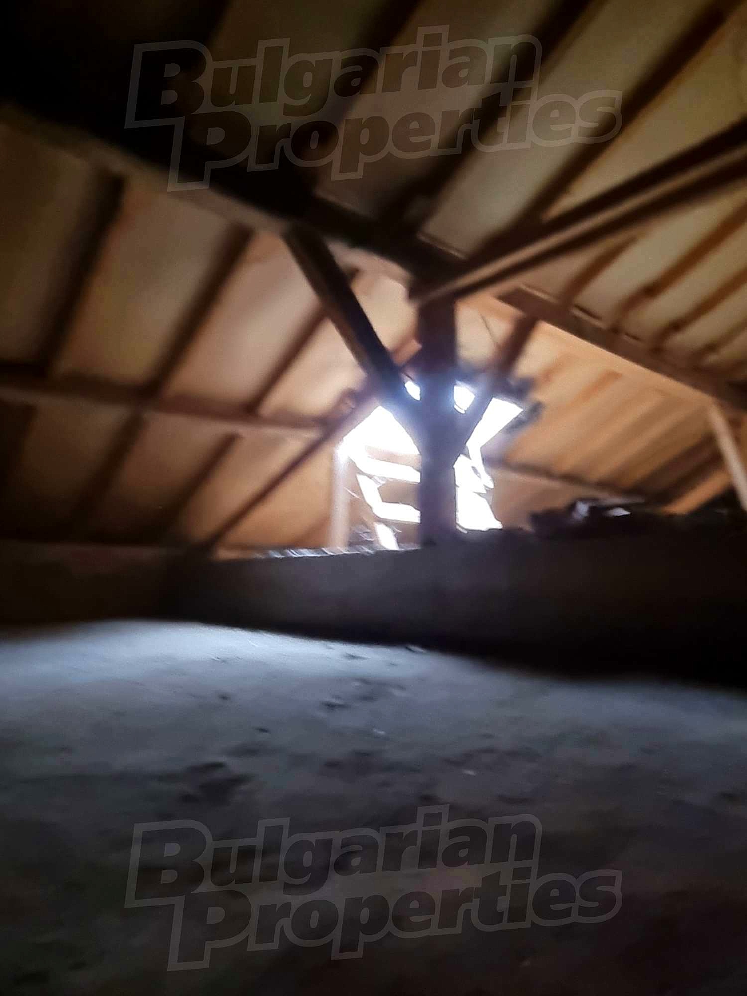 Gallery Picture 13