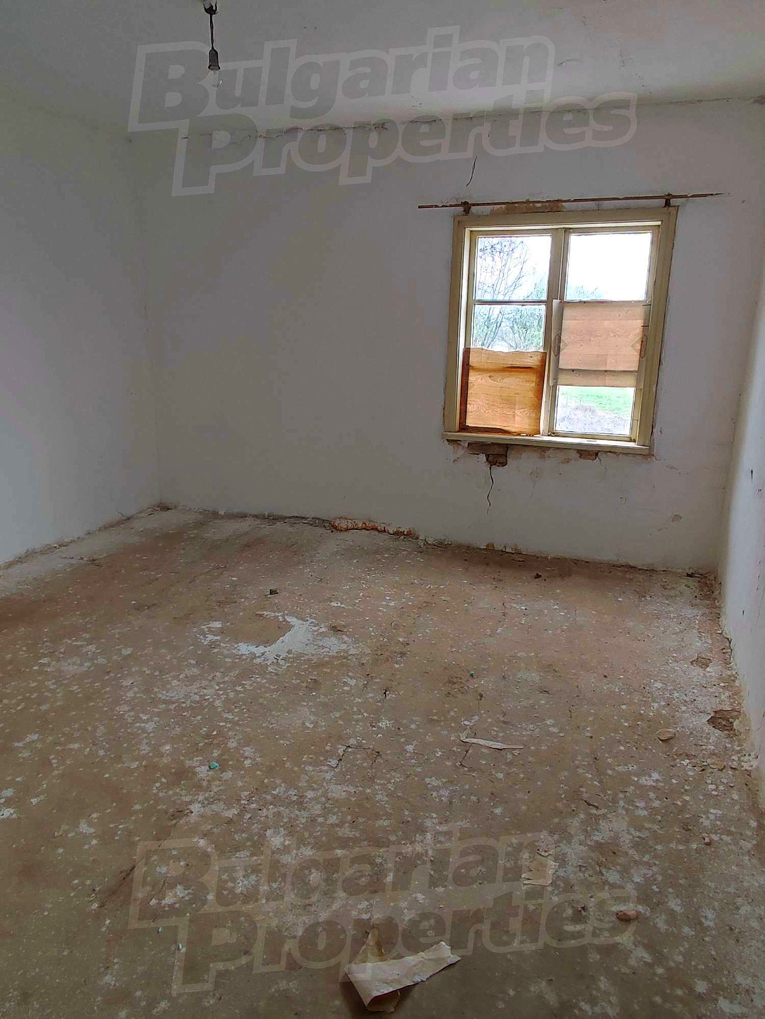 Gallery Picture 5