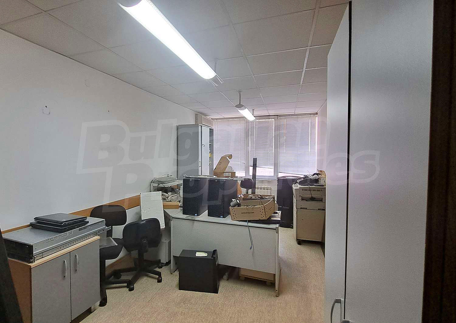 Gallery Picture 19