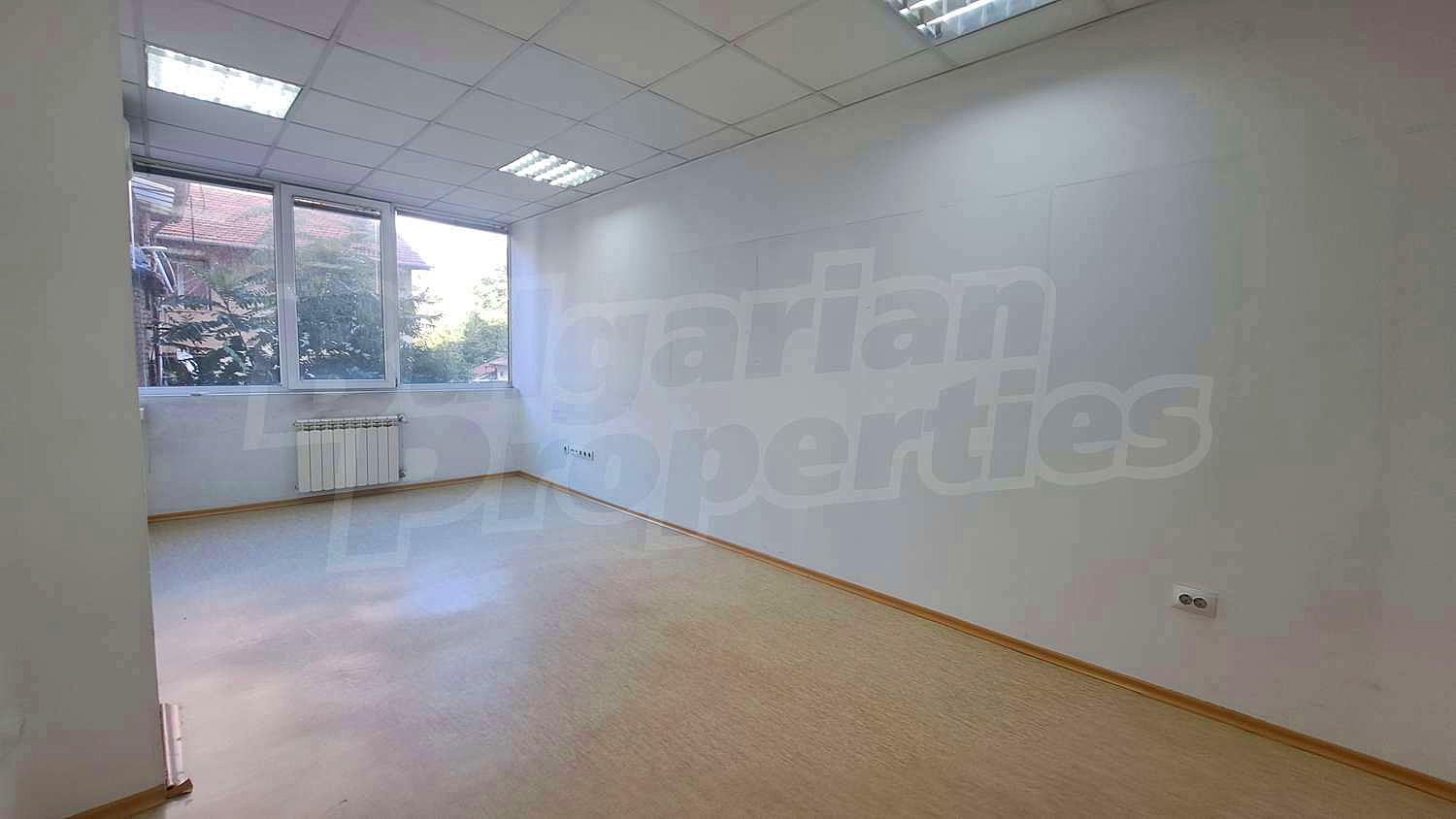 Gallery Picture 28