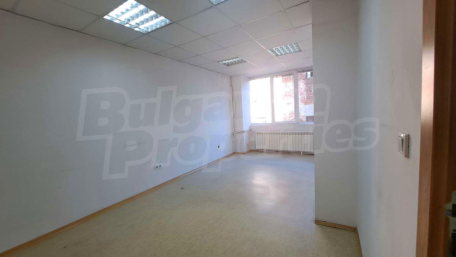 Gallery Picture 29