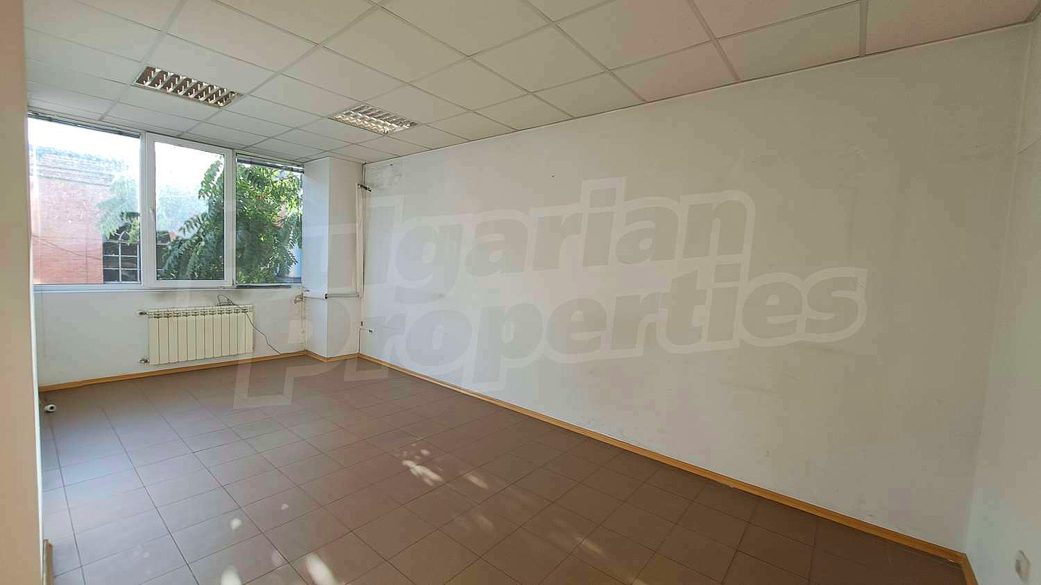 Gallery Picture 36