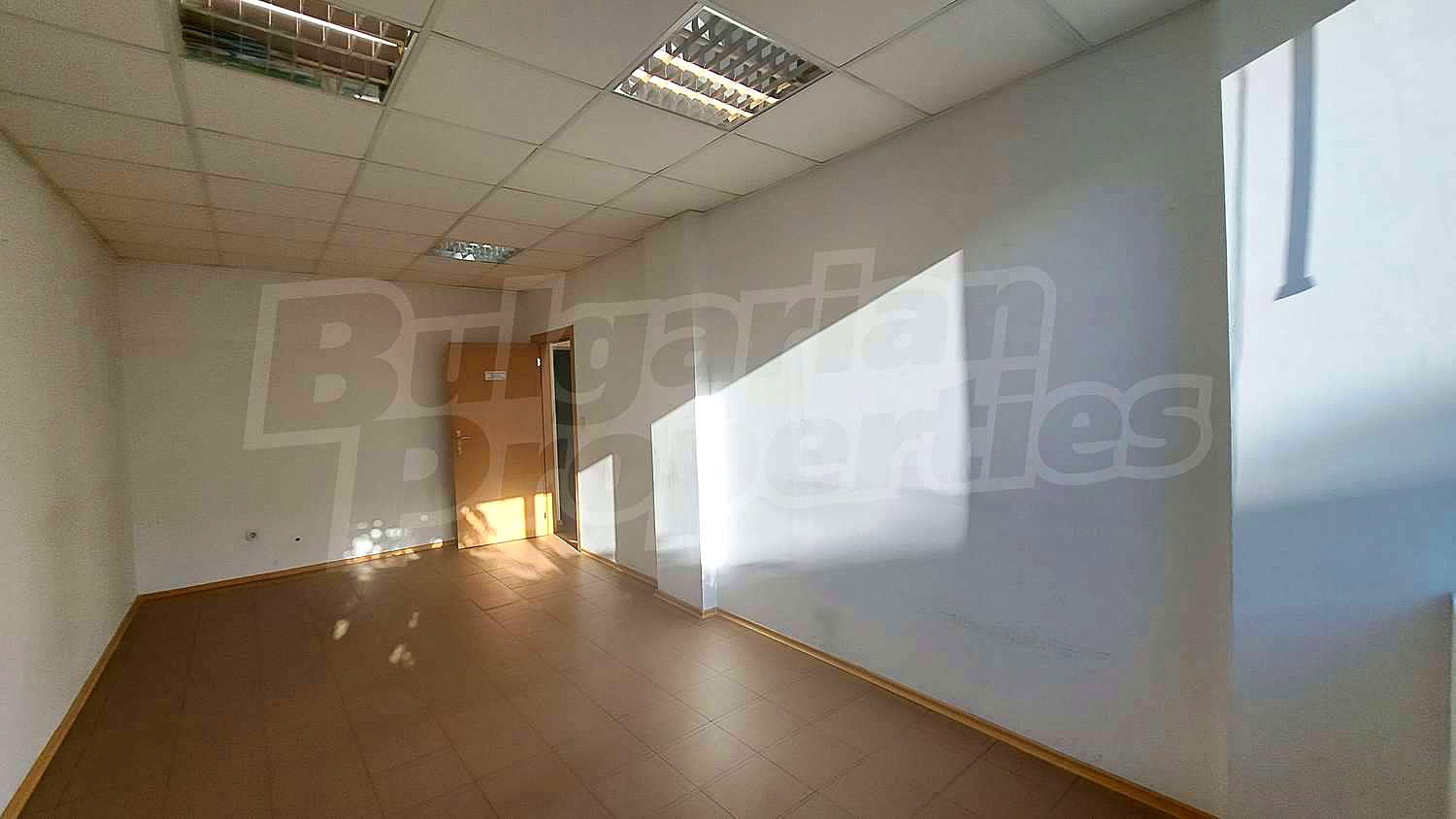 Gallery Picture 37