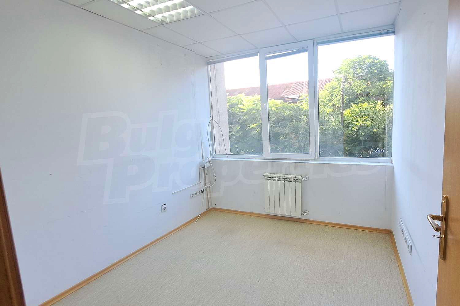 Gallery Picture 38