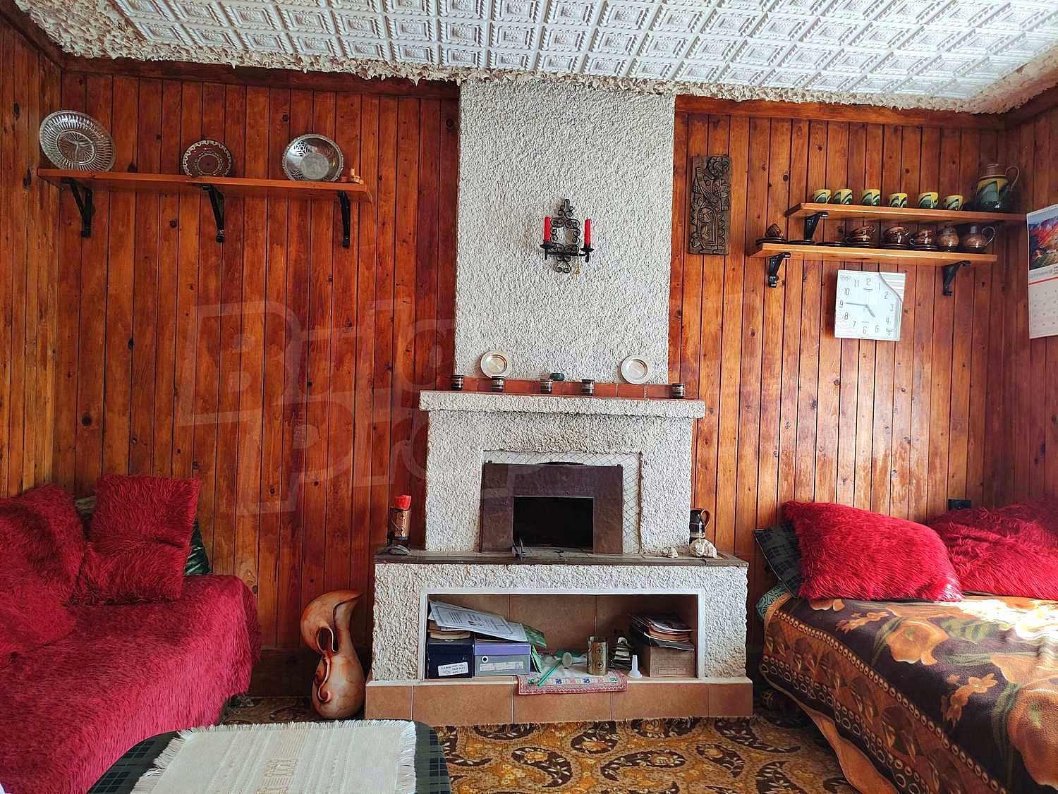 Gallery Picture 41