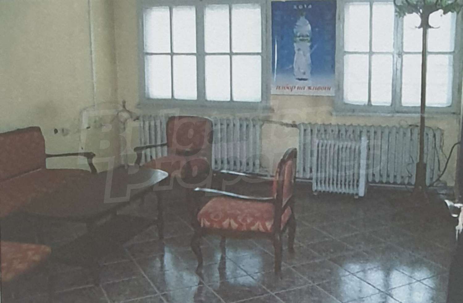 Gallery Picture 9