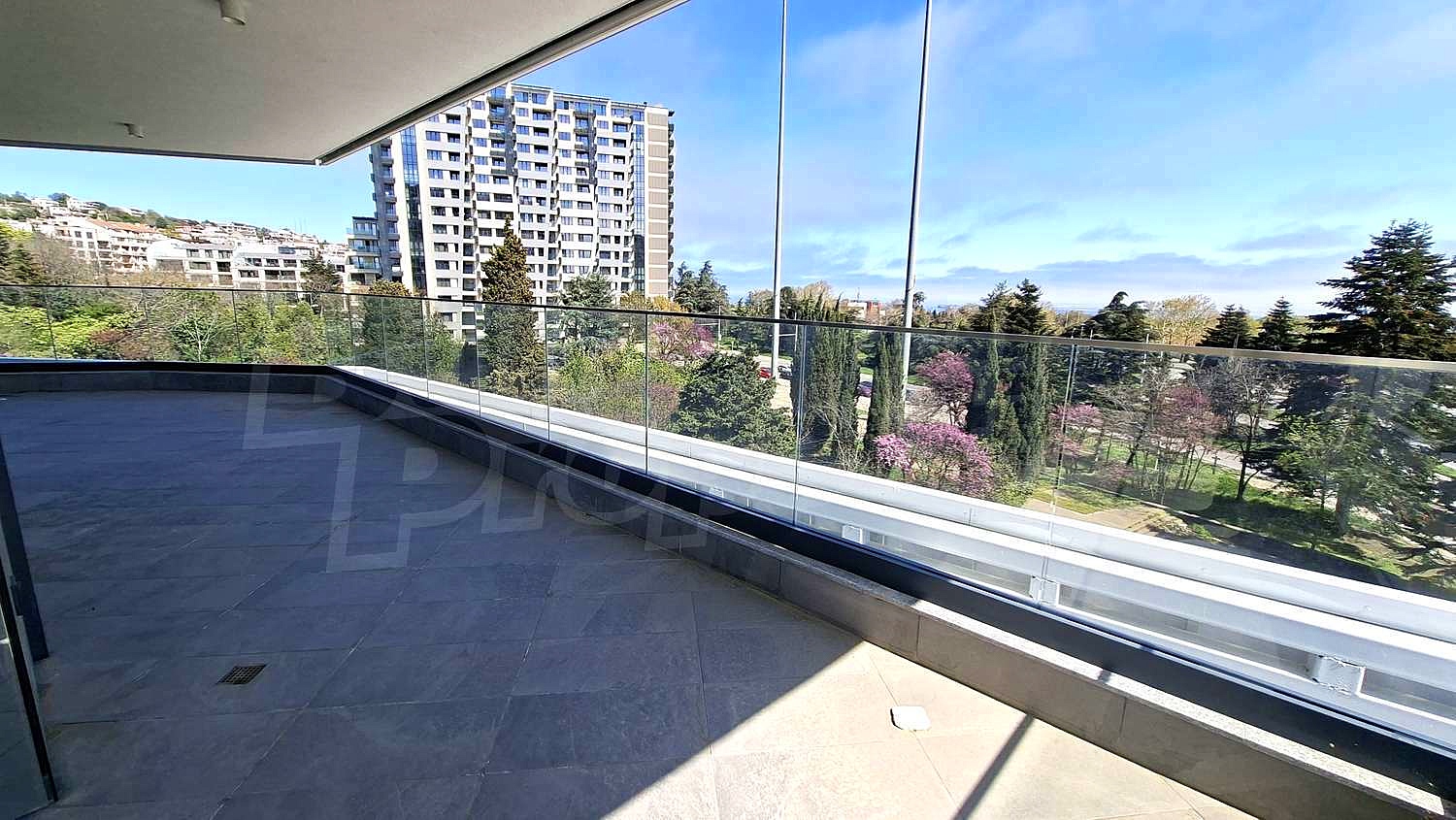 Gallery Picture 2