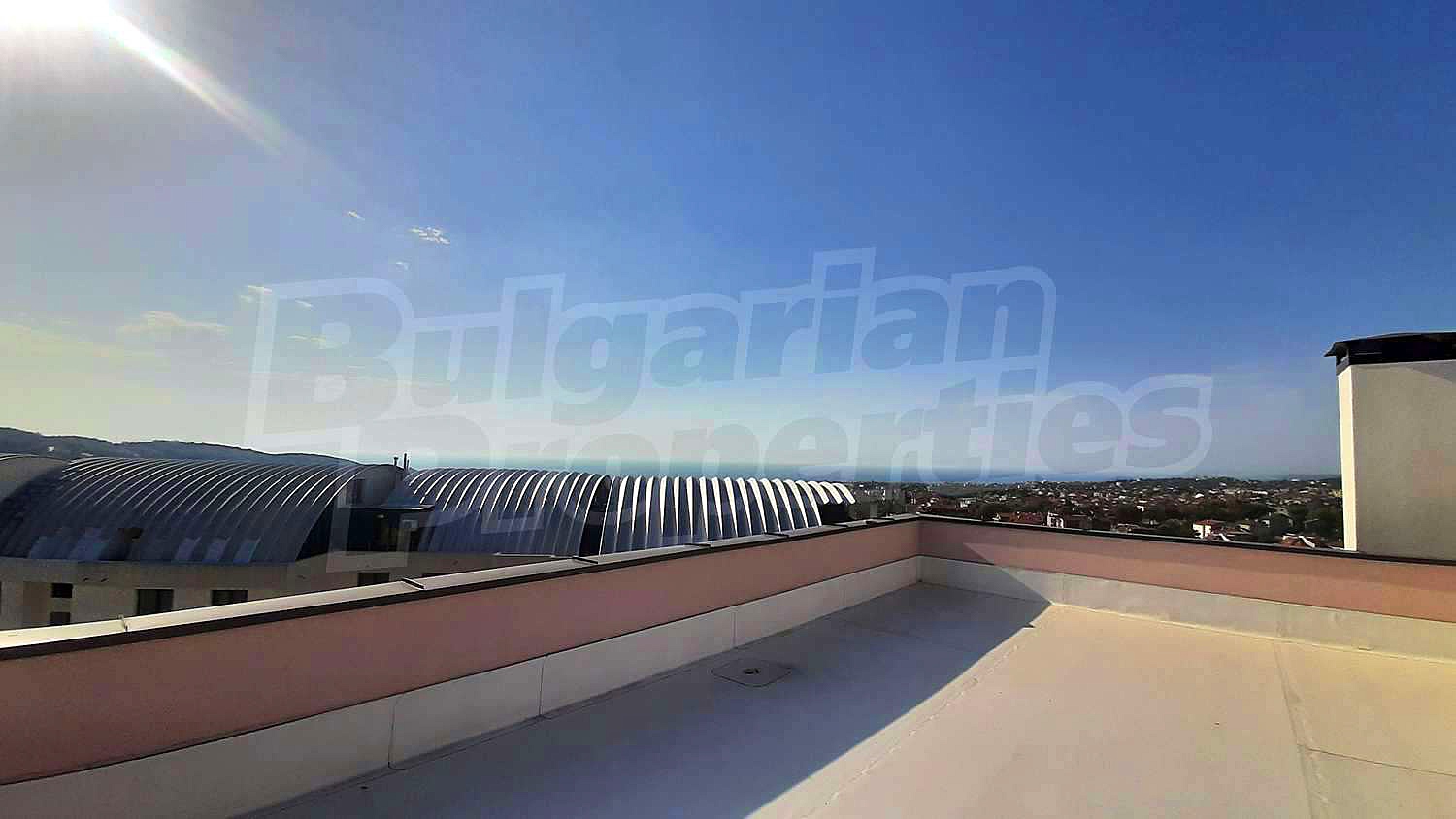 Gallery Picture 11
