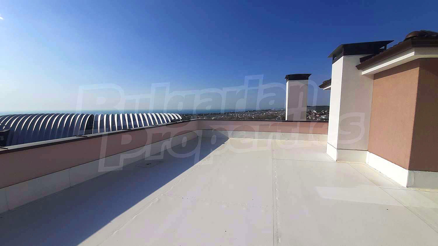 Gallery Picture 38