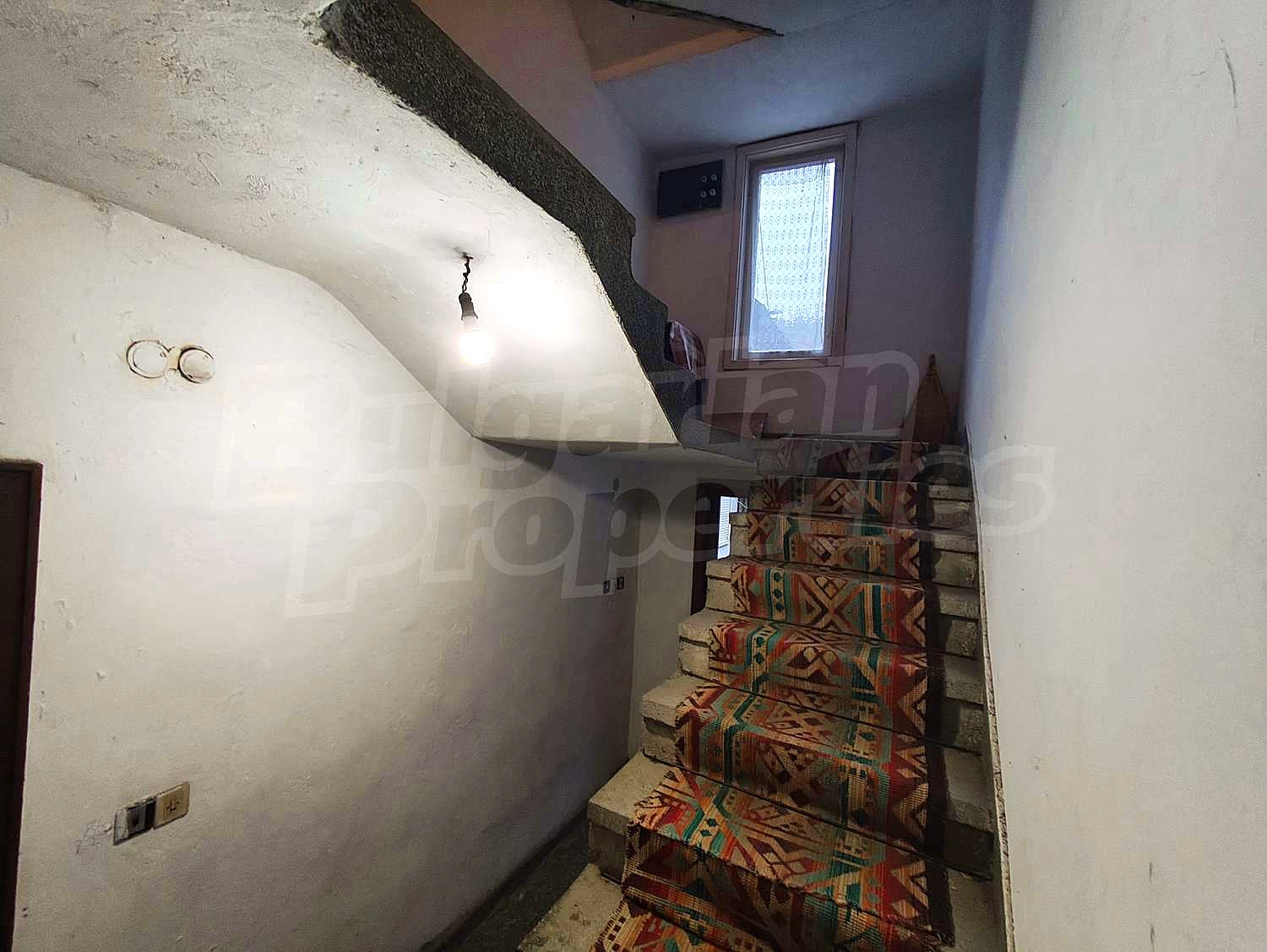 Gallery Picture 7